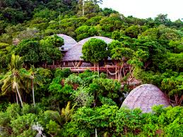 Flora dan fauna merupakan salah satu kekayaan alam yang dapat diperbaharui dan sangat bermanfaat bagi keseimbangan dan alam kehidupan suaka margasatwa yaitu perlindungan yang diberikan kepada fauna yang hampir punah di indonesia. Inilah 6 Lokasi Wisata Konservasi Yang Layak Dikunjungi Dan Telah Diakui Oleh Dunia Portalhijau Com