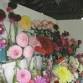 Dalgety Show event image