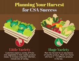 This page is about the various possible meanings of the acronym. Icymi How To Start A Csa Growing Produce