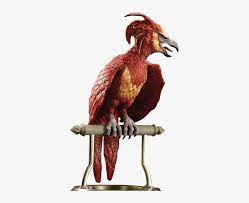The harry potter lexicon is an unofficial harry potter fansite. Phoenix Bird Harry Potter Phonix Harry Potter Fawkes Free Transparent Png Download Pngkey