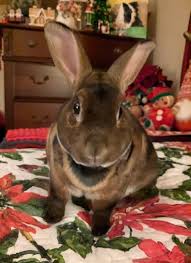 Minnie Boy ❤️ Bedtime 💜💤💤