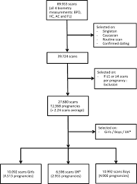 Sex Differences In Fetal Growth And Immediate Birth Outcomes