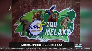 Zoo negara adalah wisata kebun binatang populer di malaysia. Zoo Melaka Ayer Keroh Destimap Destinations On Map