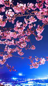 We did not find results for: Cherry Blossom Iphone Wallpaper Kolpaper Awesome Free Hd Wallpapers