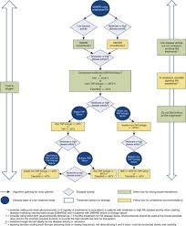 Diagnosis and management of rheumatoid arthritis: Drug Therapy Of Rheumatoid Arthritis Basicmedical Key