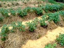 �������� �� ������� ���������