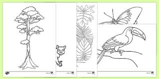 There's lots to love about the rainforest, and it's especially appropriate to learn more about these amazing animals when we're focused on saving the precious place where they live. Rainforest Themed Coloring Sheets