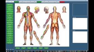 Chiro Quickcharts Chiropractic Software Demos