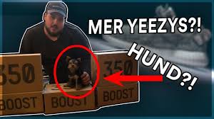 Det här är en sommardröm för hela familjen med kritvita stränder, spännande utflykter och inte minst tre kvällar i skärgården ombord på vårt fulladdade kryssningsfartyg viking cinderella. Koper Mer Yeezys Spelningar Hund Vlogg By Anis Don Demina