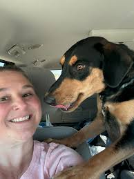 What are the best tips for treating heartworms in a young dog?