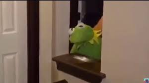 Check out full gallery with 1835 pictures of adelaide kane. Kermit Is A Drug Addict Youtube