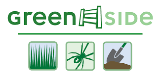 From eliminating everyday pests such as ants, spiders, bed bugs and mosquitoes, to ridding your home of the tougher pests such as wasps and rodents, we work hard to keep your family safe. Expert Pest Control Services In Salt Lake City Greenside Pest Control