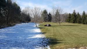 Snow for any reason or any season! Half Of My Yard Is Coated In Snow The Other Half Is Completely Green Grass 9gag