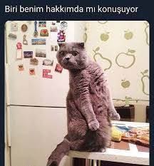 Komik Sozler Panosundaki Pin
