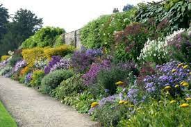 10 Best Perennial Plants For Anyone S Garden Dengarden