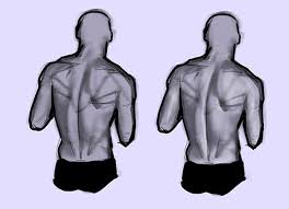 From the base of the skull, it moves down and back till it reaches its furthest point at the level of the shoulders (between the shoulder blades). How To Draw The Human Back A Step By Step Construction Guide Gvaat S Workshop