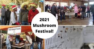 A Successful 2021 MPA Mushroom Festival