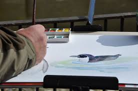 Naturmalkurse Aquarelle Aus Der Natur Rostocker Zoo Zoo Pinguine