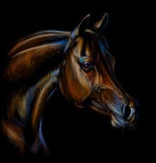 Drawing realistic looking horses is fun with colored pencils. Realistic Horse Sketches Vector Images Over 140