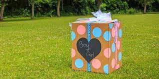 21 Unique Gender Reveal Ideas Ways To Announce Baby S Sex 2021