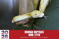Iceman Reptiles