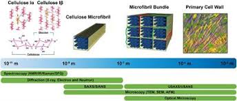 Plant cell walls contain which of the following in abundance. Frontiers Progress And Opportunities In The Characterization Of Cellulose An Important Regulator Of Cell Wall Growth And Mechanics Plant Science