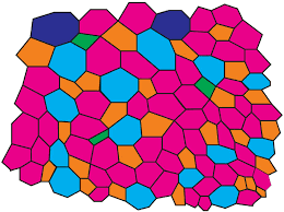 We did not find results for: Polygonal Representation Of Cell Structure In Natural Epithelia An Download Scientific Diagram