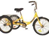 True Carry All Industrial Trike Womens Bike Trike Tricycle