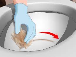 Of blood when i hold toilet paper to the tip and catch a dribble. 4 Ways To Clean A Ring In Toilet Bowl Wikihow