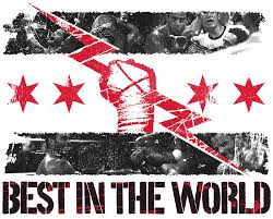 Cm Punk 2015 Best In The World Wallpaper Wallpapersafari