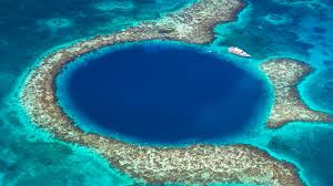 Scuba Diving Turneffe Atoll Lighthouse Reef And Great Blue Zublu
