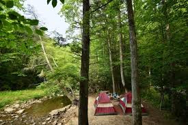 There are plenty of different activities you can even ride on your trusty steed to enjoy some of the trails in the adjacent state forest. Don T Miss This State Park And Forest On Your Next Road Trip Through Almost Heaven West Virginia State Parks West Virginia State Parks