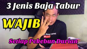 We did not find results for: 3 Jenis Baja Tabur Wajib Ada Bagi Setiap Pekebun Durian Youtube