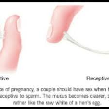 Tracking Cervical Mucus Glow Community