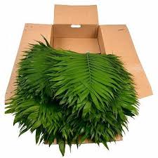Check spelling or type a new query. Commodore Palms 150 Stems Sam S Club Inexpensive Wedding Flowers Flower Care Bulk Wedding Flowers