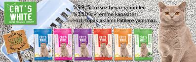 En Iyi Ucuz Dogal Kedi Kumu Markalari Ve Fiyatlari Kedi Blog
