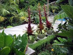 Pin On Seed Landscapes