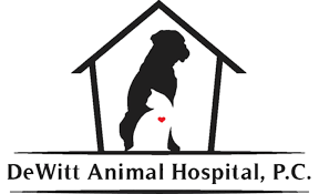 Maybe you would like to learn more about one of these? Dewitt Animal Hospital Veterinarian Dewitt Ny Home
