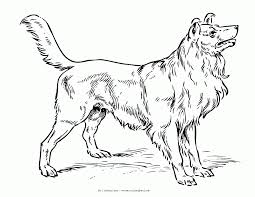 Puppies coloring pages puppy coloring pages to print out. Hard Puppy Coloring Pages Coloring Home