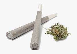 Joint Png Pre Roll Rolled Joints Organic Ghost Pre Roll Joint Transparent Png Download Is Free Transparent Png Image To Explore Png Png Images Transparent