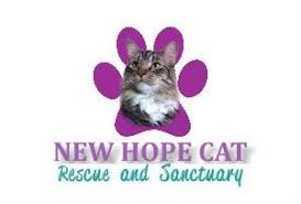 Find all of the pets in our rescue that are available for adoption on our petfinder.com page. Pets For Adoption At New Hope Cat Rescue Sanctuary In Kennedale Tx Petfinder