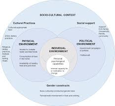 Developing A Socio Ecological Model Of Dietary Behaviour For People Living With Diabetes Or High Blood Glucose Levels In Urban Nepal A Qualitative Investigation
