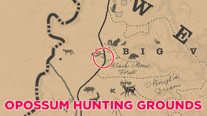 The striped skunk is an extremely common animal that can be found near rhodes, braithewaite. Rdr2 Hunting Request Squirrel Polygon Togetherlasopa