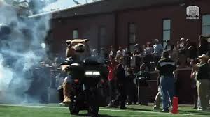 And it's all caught in this wild video. Athens Ohio Gifs Primo Gif Latest Animated Gifs