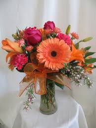 Image result for Gerbera
