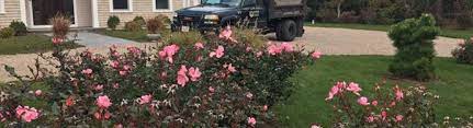 Has served delaware and southern pennsylvania with prompt, courteous and knowledgeable lawn care and landscaping services. Grass Roots Landscaping North Eastham Area Alignable