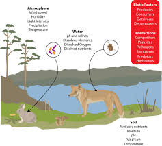 Mr G S Environmental Systems 2 1 1 Biotic And Abiotic Life Science Lessons Life Science Activities Abiotic