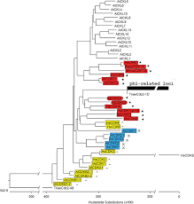 How does cdk activity change? Functional Evolution Of Cyclin Dependent Kinases Springerlink