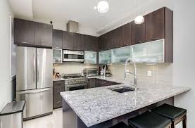 27 Small Kitchens With Dark Cabinets Design Ideas Kitchen Remodel Small Small Kitchen Layouts Contemporary Kitchen
