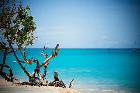 Life S A Beach Part Deux Beaches Near Me Caribbean Beaches Life